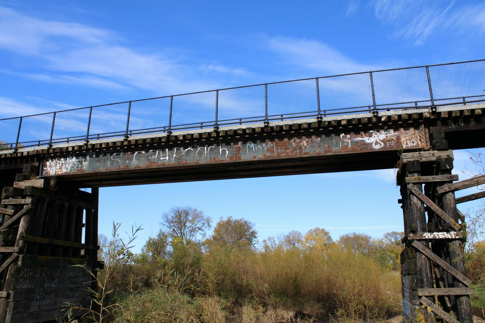 Main span